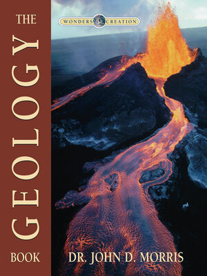 cover image of The Geology Book